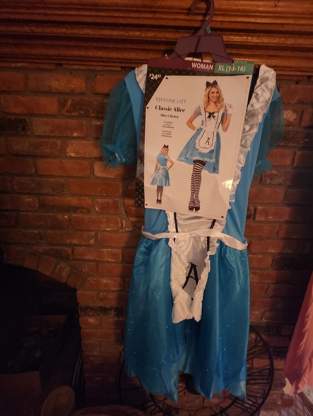 Classic Alice Adult Costume- Blue and White